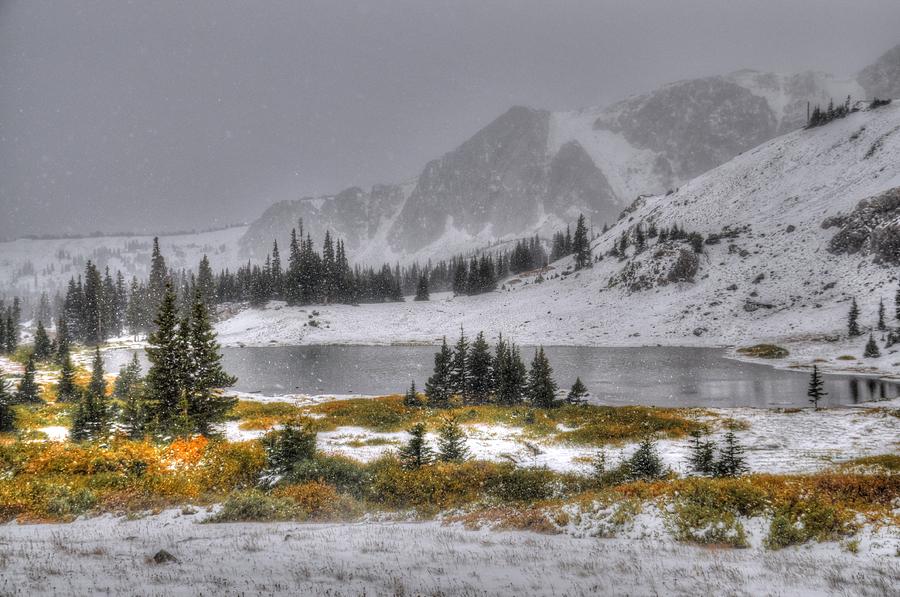Wyomings Medicine Bow National Forest Photograph by Geraldine Alexander