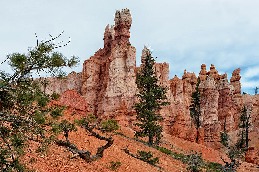 Bryce Canyon National Park Photograph by Georgia Clare