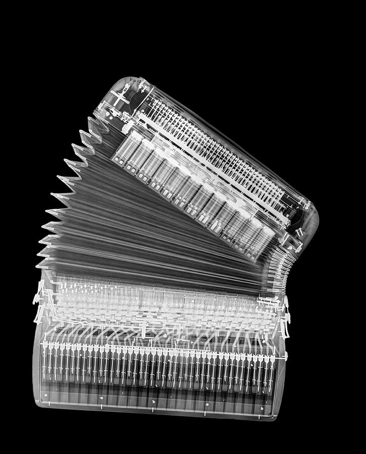 Music Photograph - X-ray Of An Accordion by Photostock-israel/science Photo Library