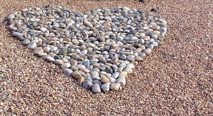 Xeriscape Heart Photograph by Claudia Goodell