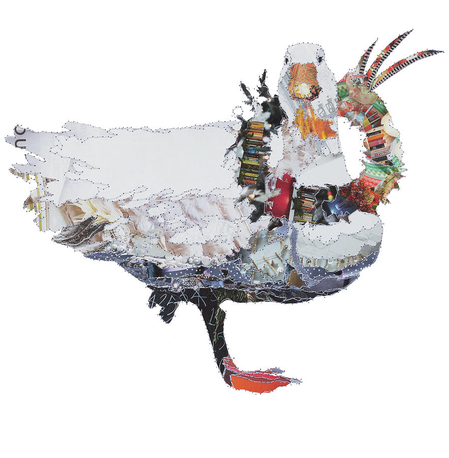 Goose Painting - Xmas Birds - Goose Having A Gander by MGL Meiklejohn Graphics Licensing
