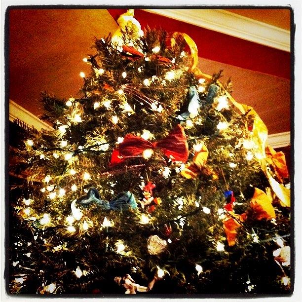 Christmas Photograph - Xmas Tree by Nathan Jordan