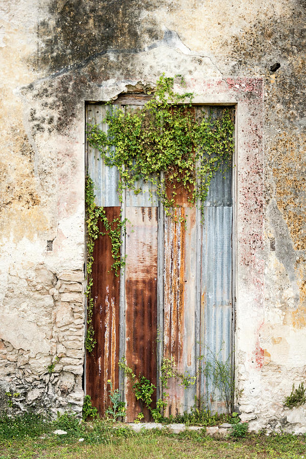 Xxxl Old Weathered Door On Deterioting Photograph by Ogphoto