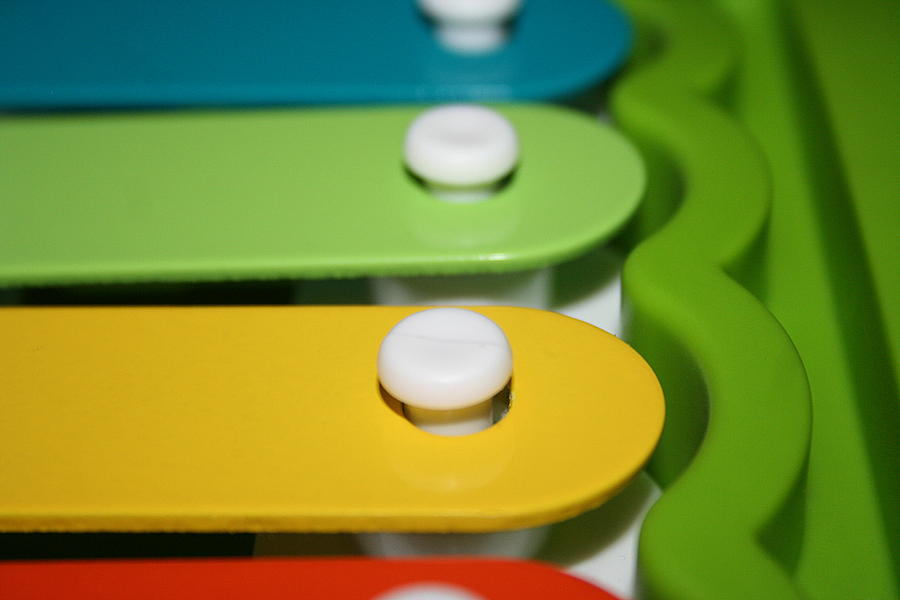 Xylophone Photograph by Ester McGuire