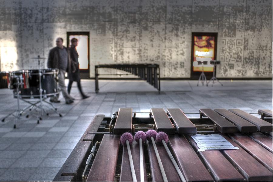 Xylophone Photograph by Jane Linders