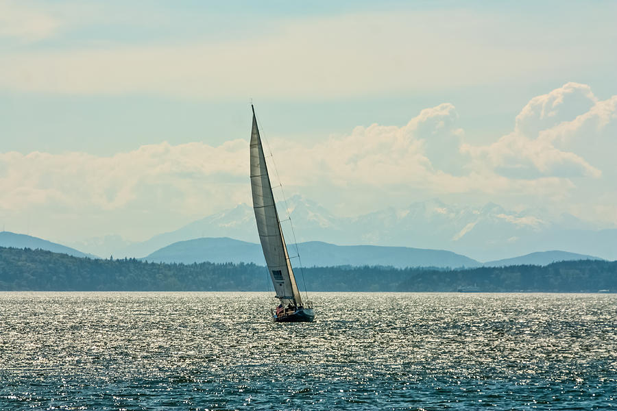 yacht at Elliott Bay Photograph by Kristina Tachenko - Fine Art America