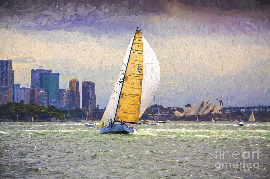 Yacht racing on Sydney Harbour Photograph by Sheila Smart Fine Art Photography