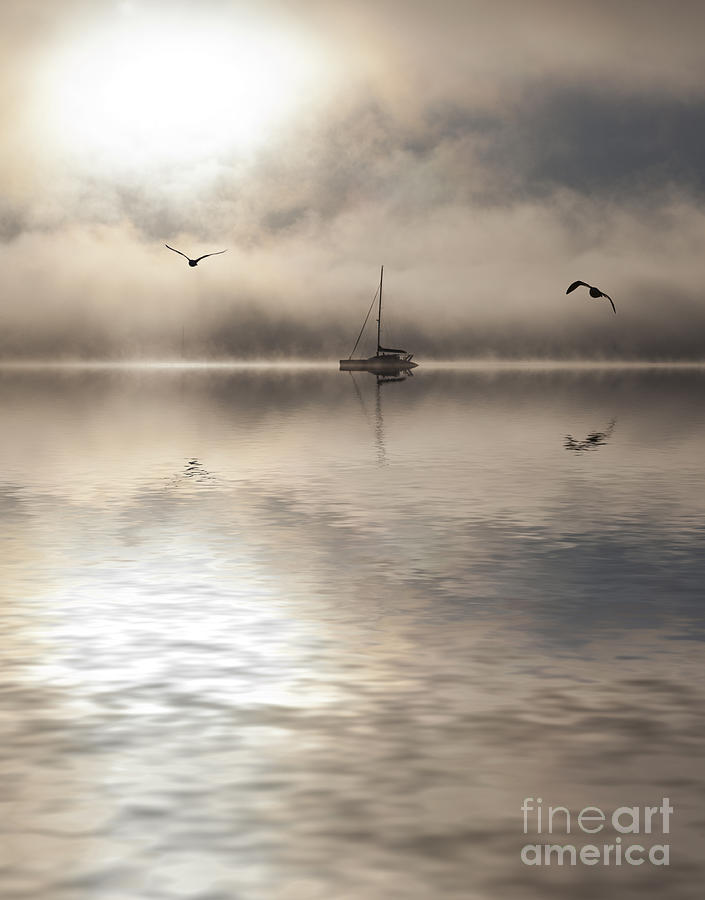Yacht with two gulls in mist Photograph by Sheila Smart Fine Art Photography
