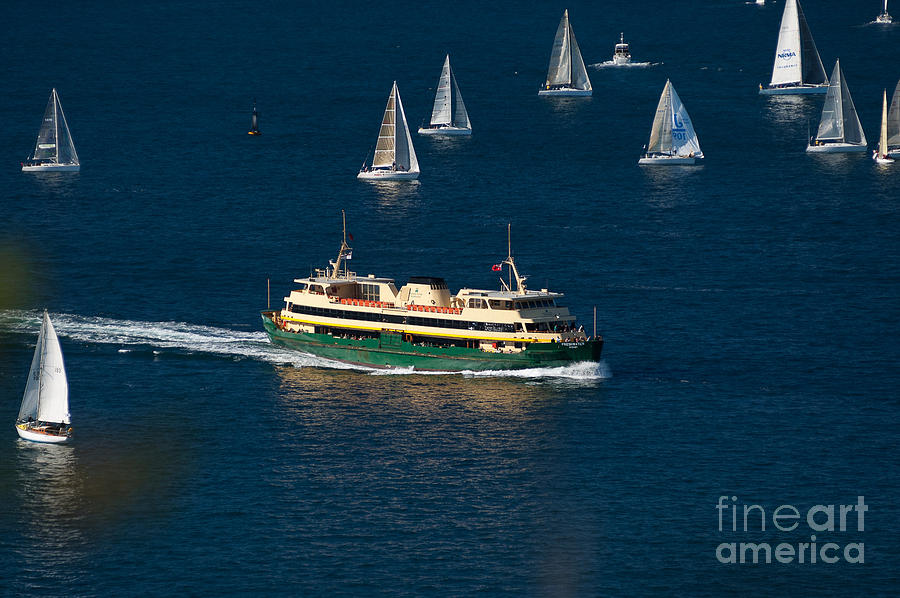 Boat Photograph - Yachts and Manly Ferry on Sydney Harbour by David Hill