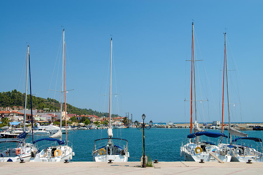 Yachts in a Marina Photograph by Roy Pedersen