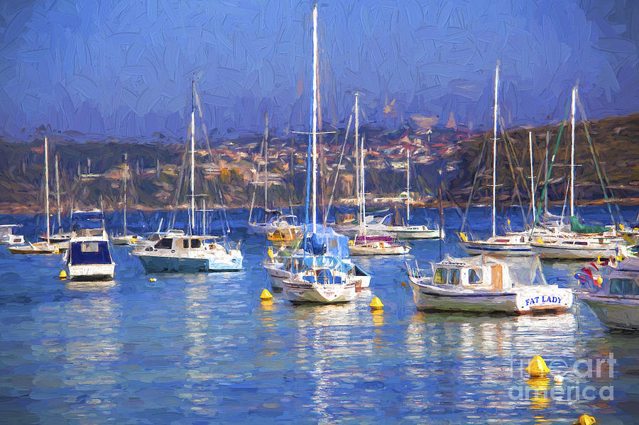 Manly Photograph - Yachts in Manly Harbour by Sheila Smart Fine Art Photography
