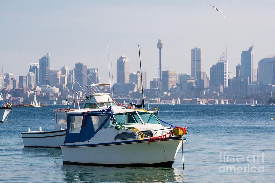 Landmark Photograph - Yachts Moored in Sydney Harbour by Chris Putnam