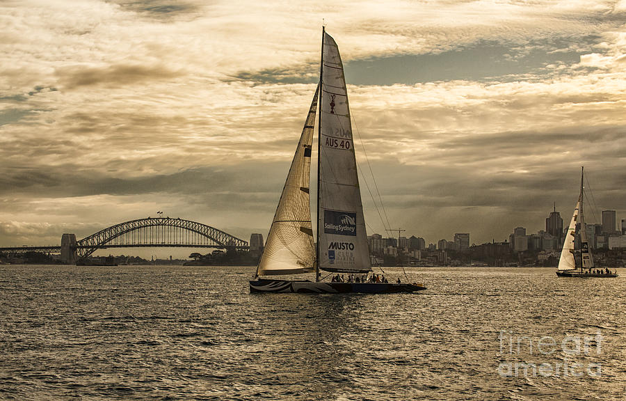 Boat Photograph - Yachts on Sydney Harbour by Sheila Smart Fine Art Photography