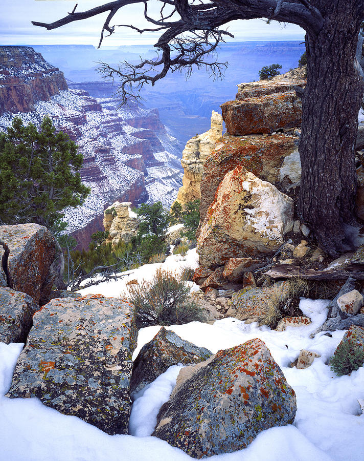 Grand Canyon National Park Photograph - Yaki Point  by Ray Mathis