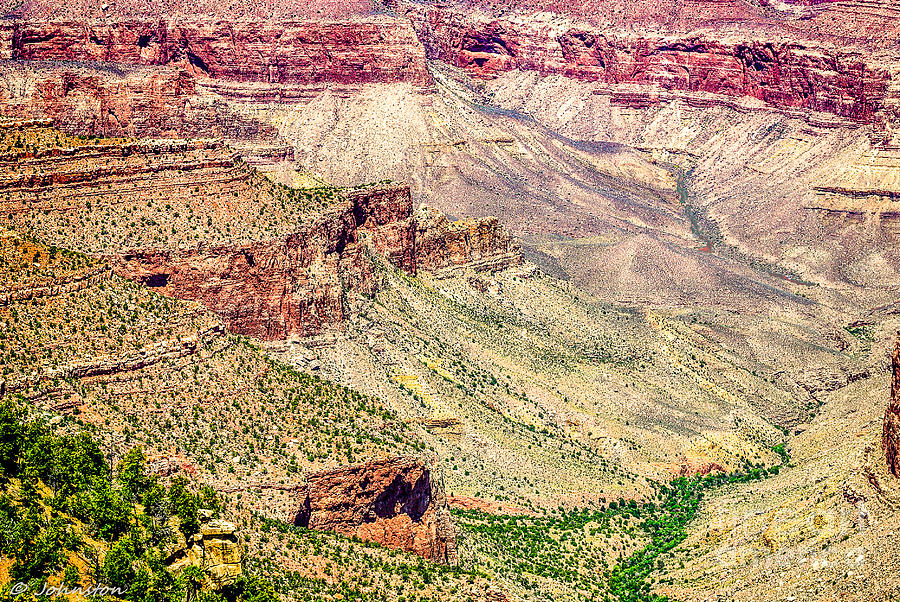 Grand Canyon National Park Digital Art - Yaki Point View of the Grand Canyon by Bob and Nadine Johnston