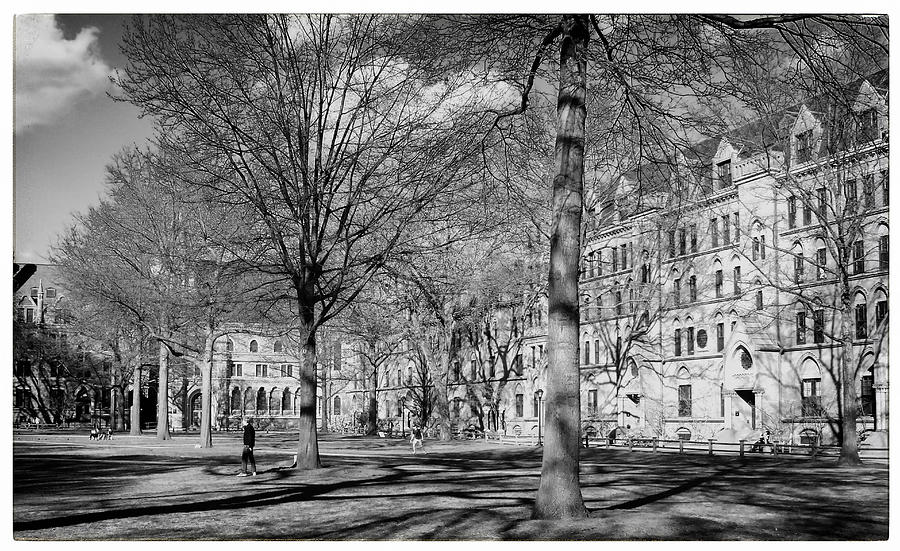 Yale Old Campus Photograph by Georgia Clare
