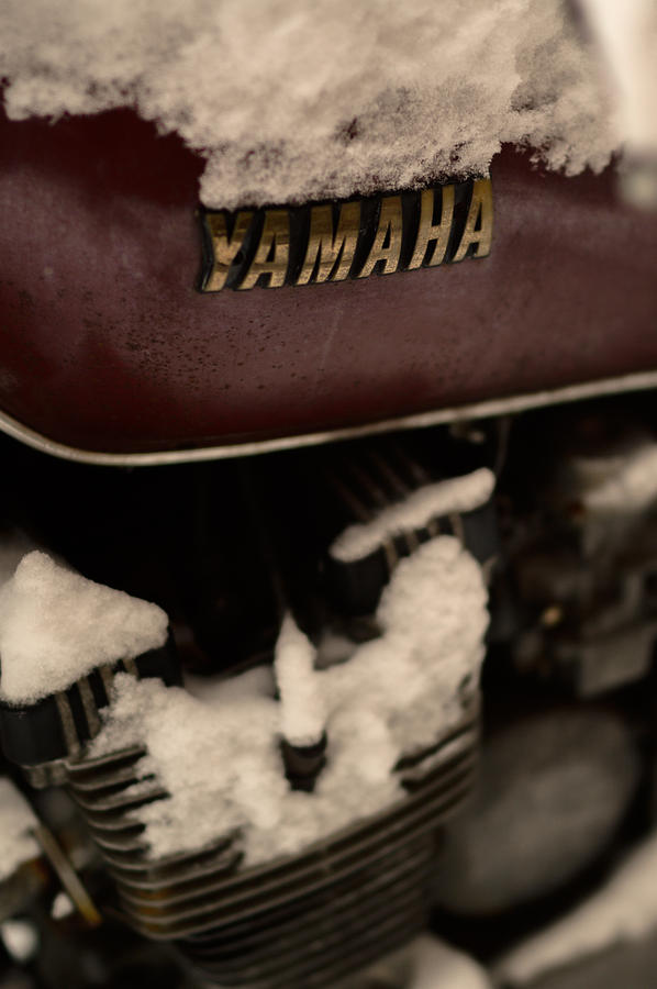 Yamaha Photograph by Michael Sander