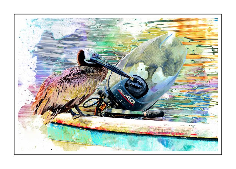 Yamaha Pelican Photograph by Alice Gipson