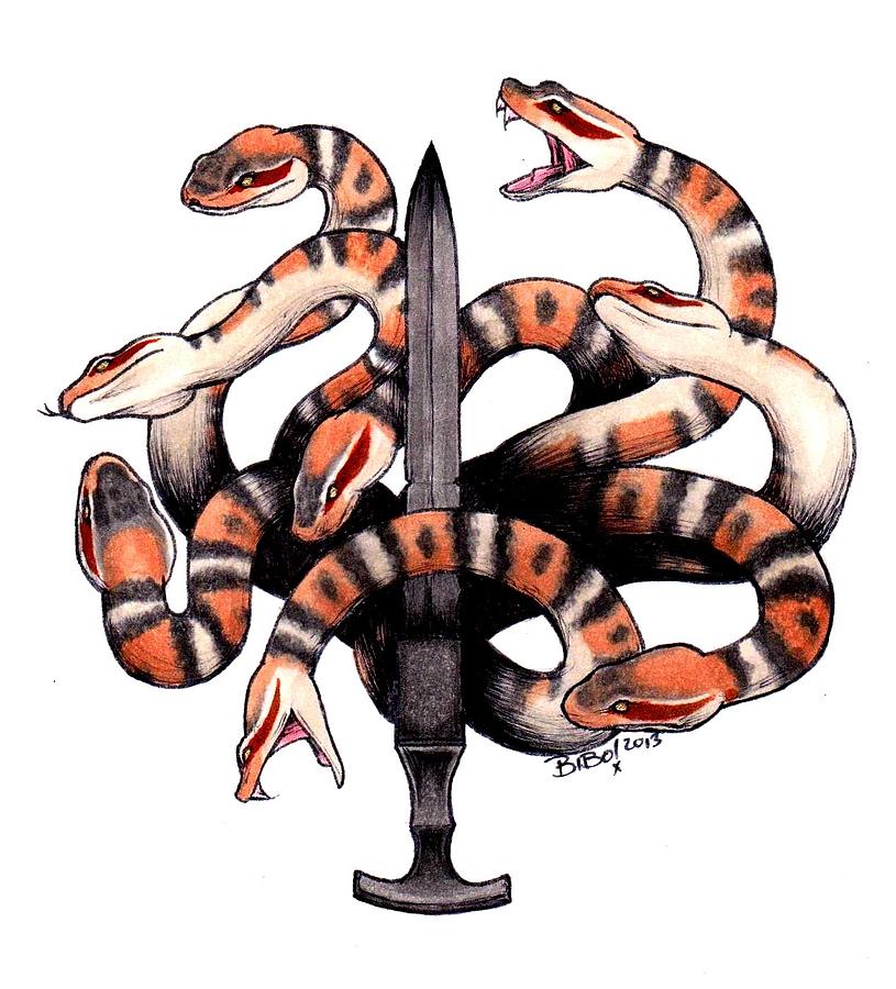 Snake Drawing - Yamata no Orochi by Bibo