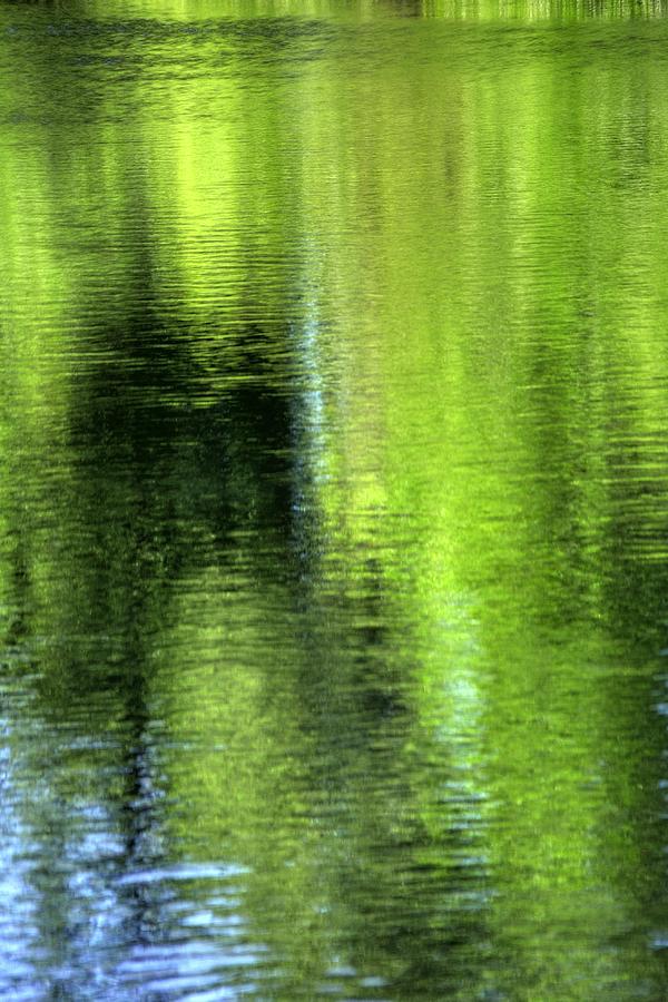 Yamhill River Abstract 24831 Photograph by Jerry Sodorff