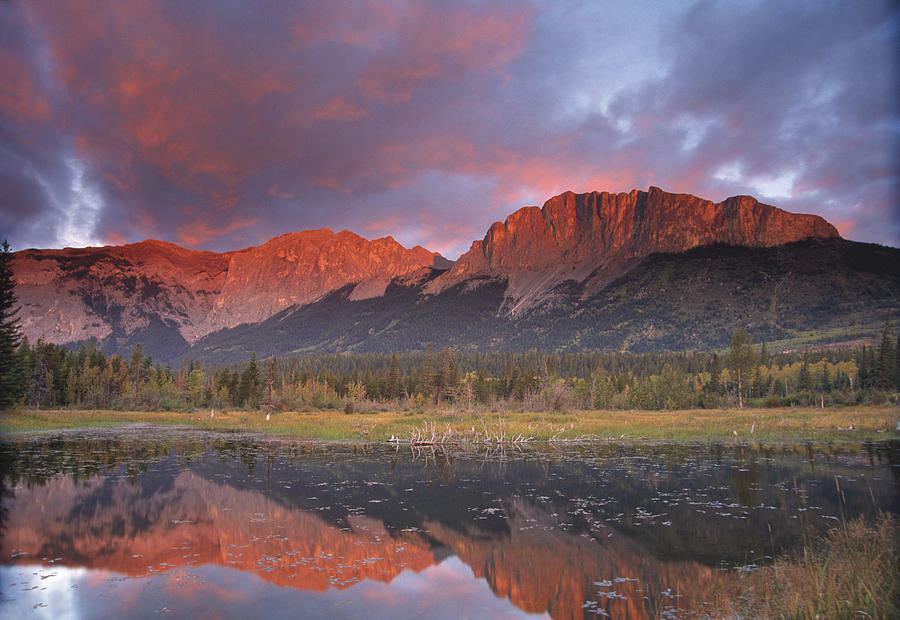 Reflection Photograph - Yamnuska and reflection by Richard Berry Reflection Photograph - Yamnuska and reflection by Richard Berry