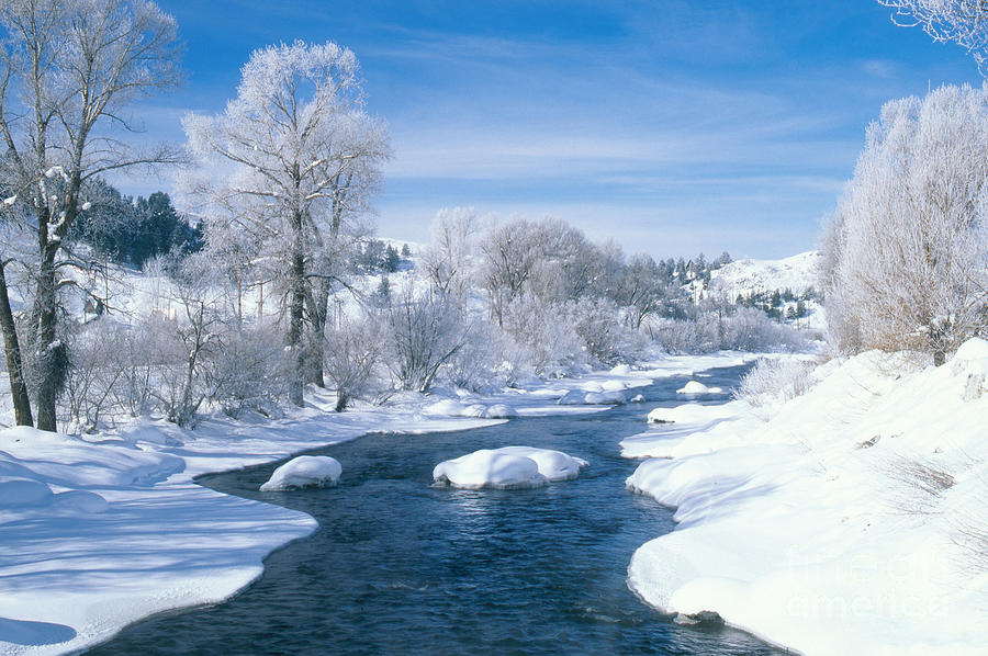 Yampa River Colorado Photograph by James Steinberg