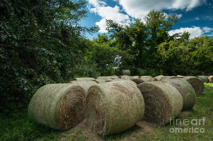 Yankee Farmlands No 5 - Round Hay Bales Photograph by JG Coleman
