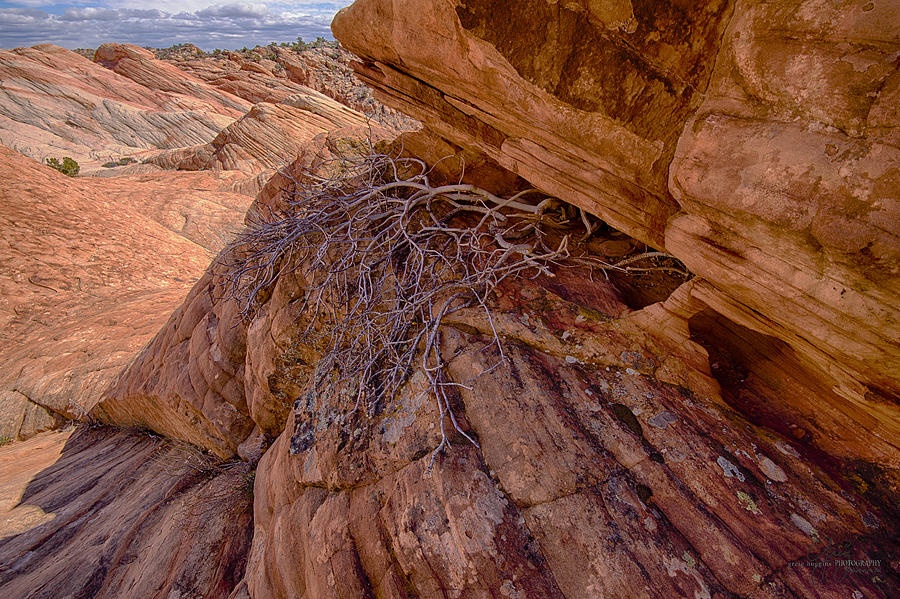 Yant Flats - Candy Cliff 6 Photograph by Greig Huggins - Fine Art America