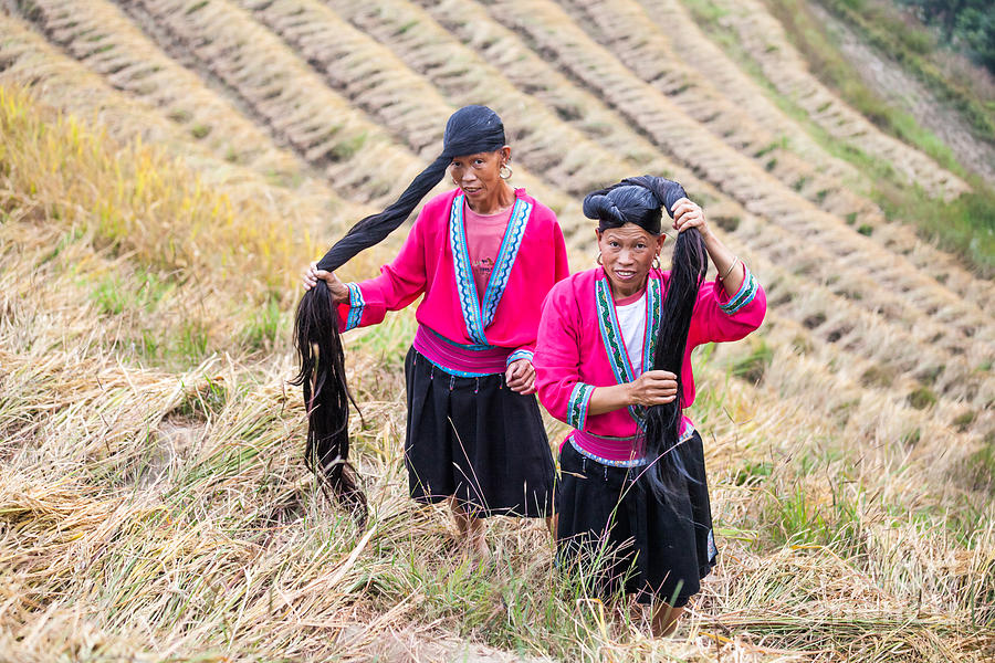 Yao ethnic minority women on rice terrace Photograph by Matteo Colombo
