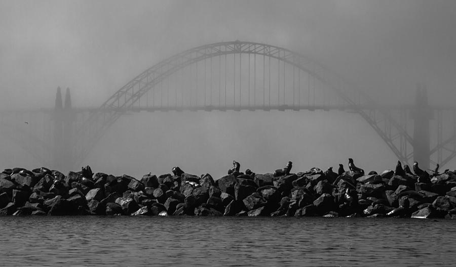 Black And White Photograph - Yaquina Bay Bridge under Fog by Mark Kiver