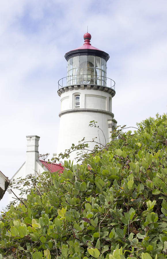 Haceta Head lighthouse 7 Photograph by Cathy Anderson