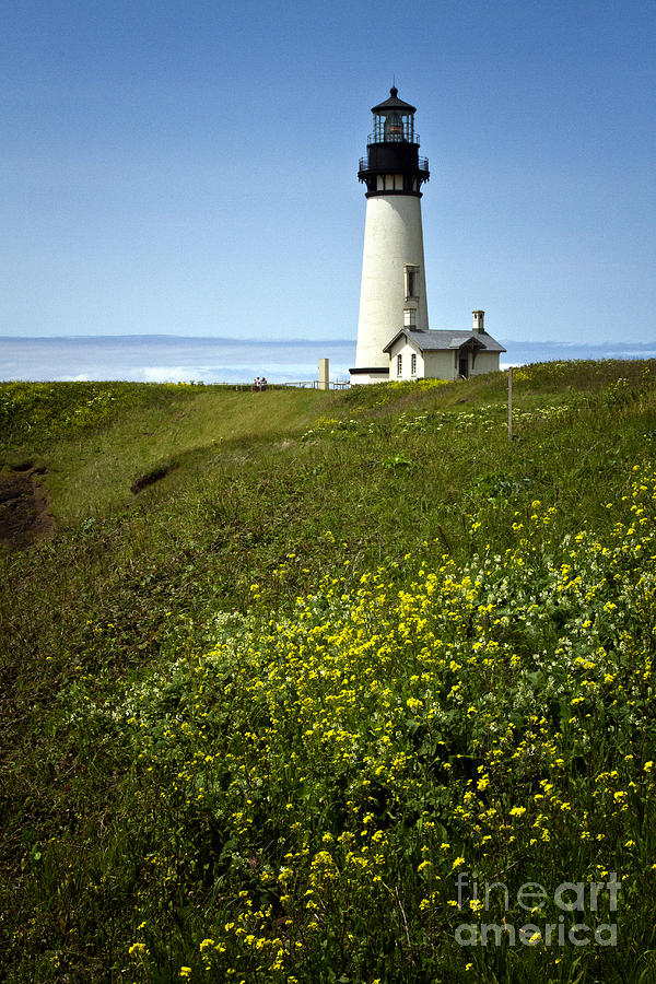 Yaquina Head Lighthouse Photograph by Carrie Cranwill