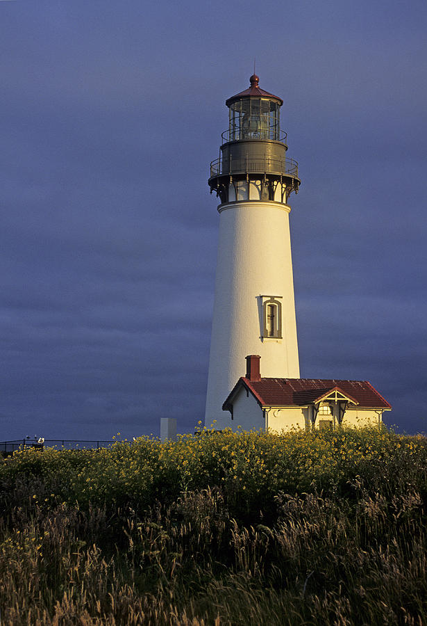 Yaquina Head Lighthouse Photograph by Doug Davidson