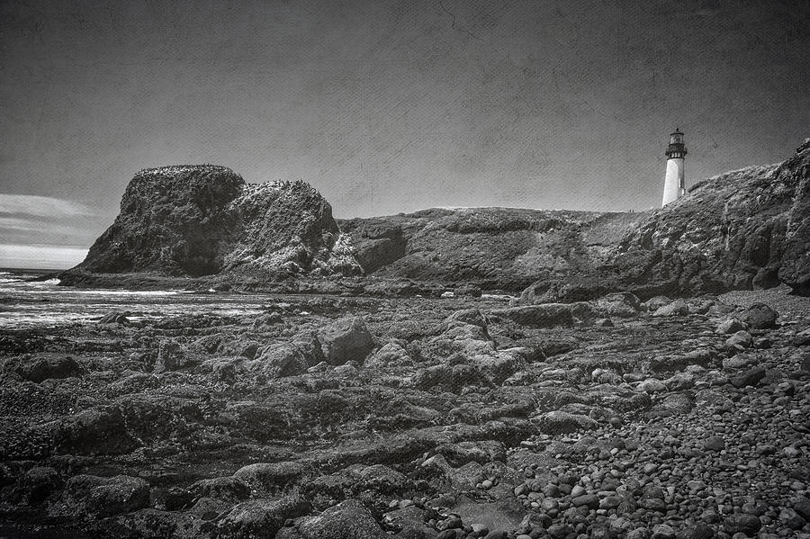 Yaquina Head Lighthouse Photograph by Joan Carroll