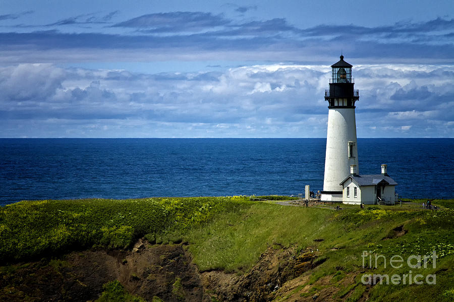 Yaquina Head Lighthouse Oregon Photograph by Carrie Cranwill
