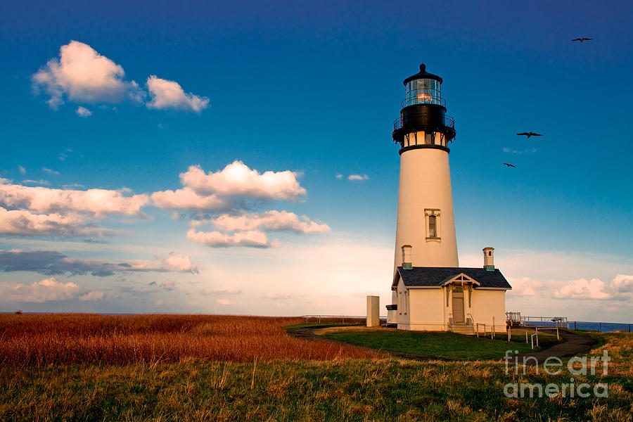 Yaquina Head Lighthouse Oregon Photograph by Mel Ashar