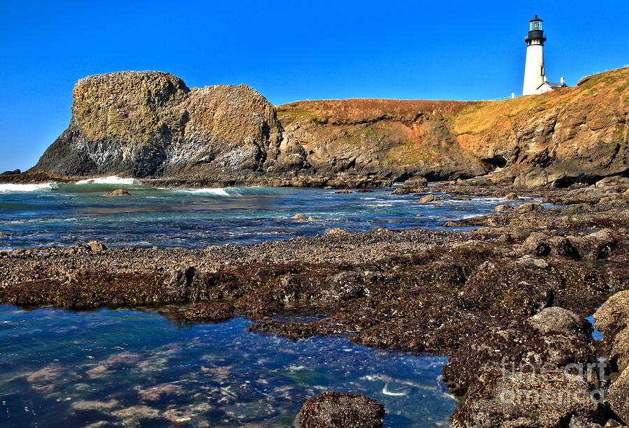 Yaquina Head On The Rocks Photograph by Adam Jewell