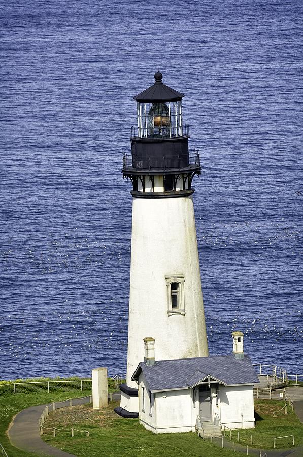 Nature Photograph - Yaquina Lighthouse In May by Image Takers Photography LLC - Laura Morgan