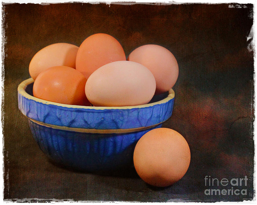 Yard Eggs Photograph by Judi Bagwell