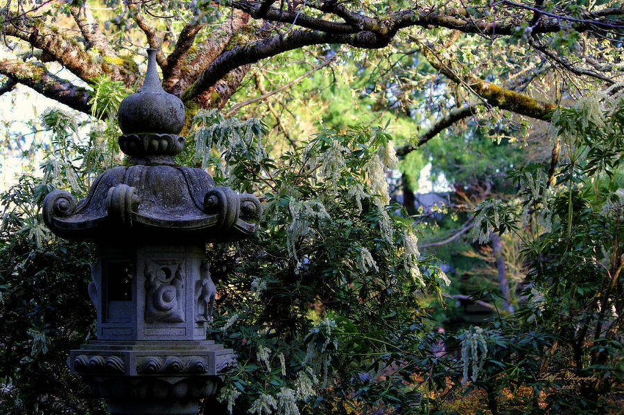 Yashiro Garden Lamp Photograph by Jeanette C Landstrom