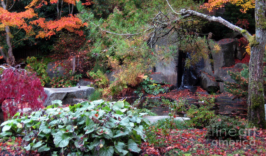 Yashiro Japanese Garden in Fall Photograph by Ellen Miffitt