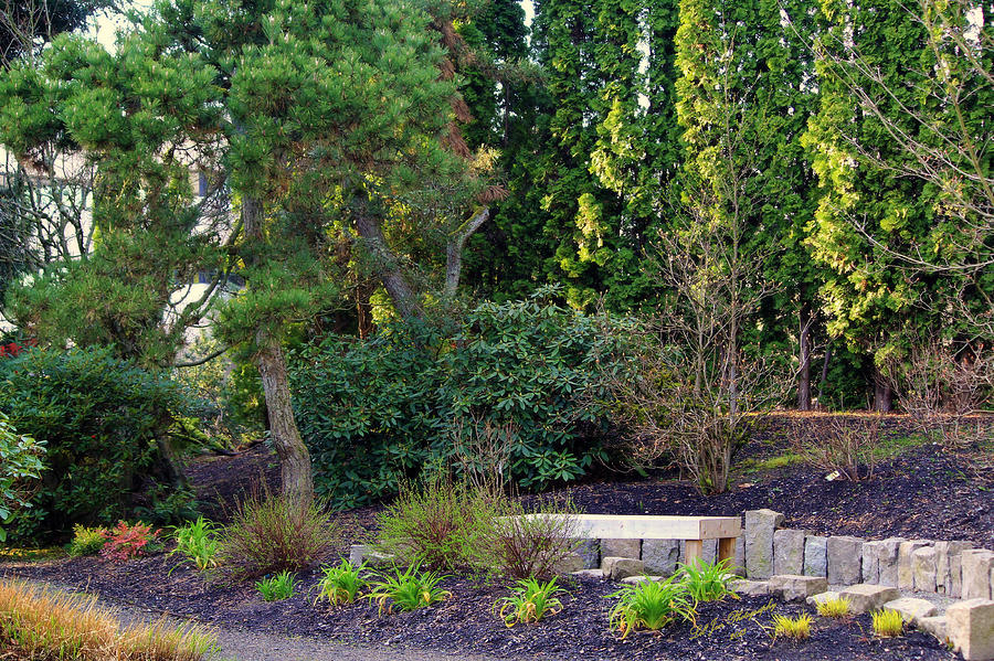 Yashiro Japanese Garden Photograph By Jeanette C Landstrom