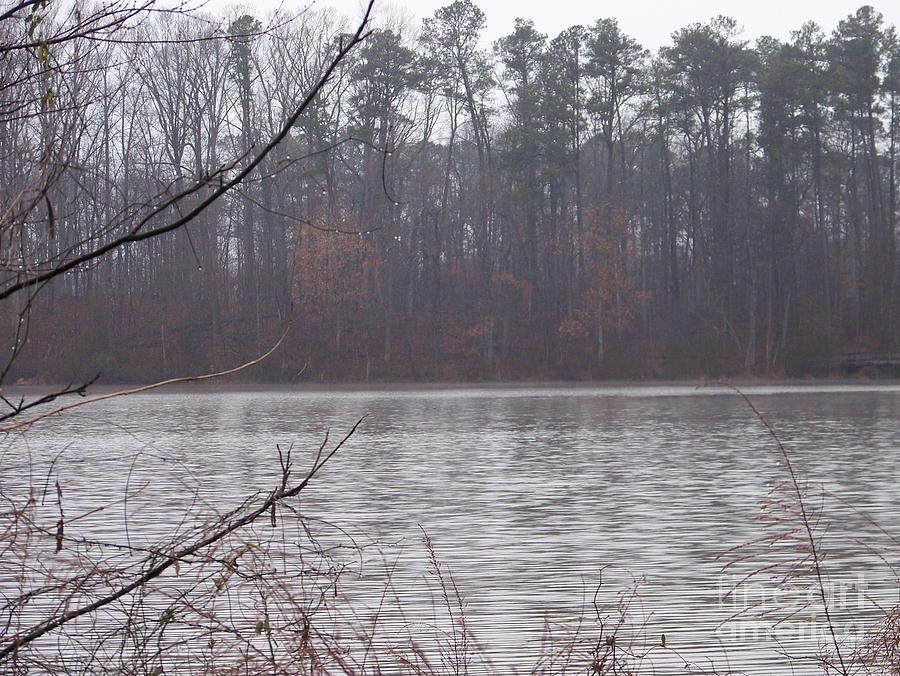 Raleigh Photograph - Yates Mill Pond Rainy Day by Kevin Croitz