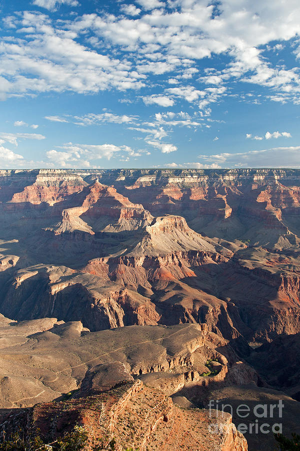 Yavapai Point Grand Canyon National Park Photograph by Fred Stearns