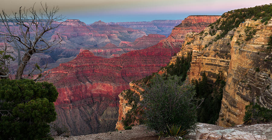 Grand Canyon National Park Photograph - Yavapai Point Grand Canyon by Tim Bryan