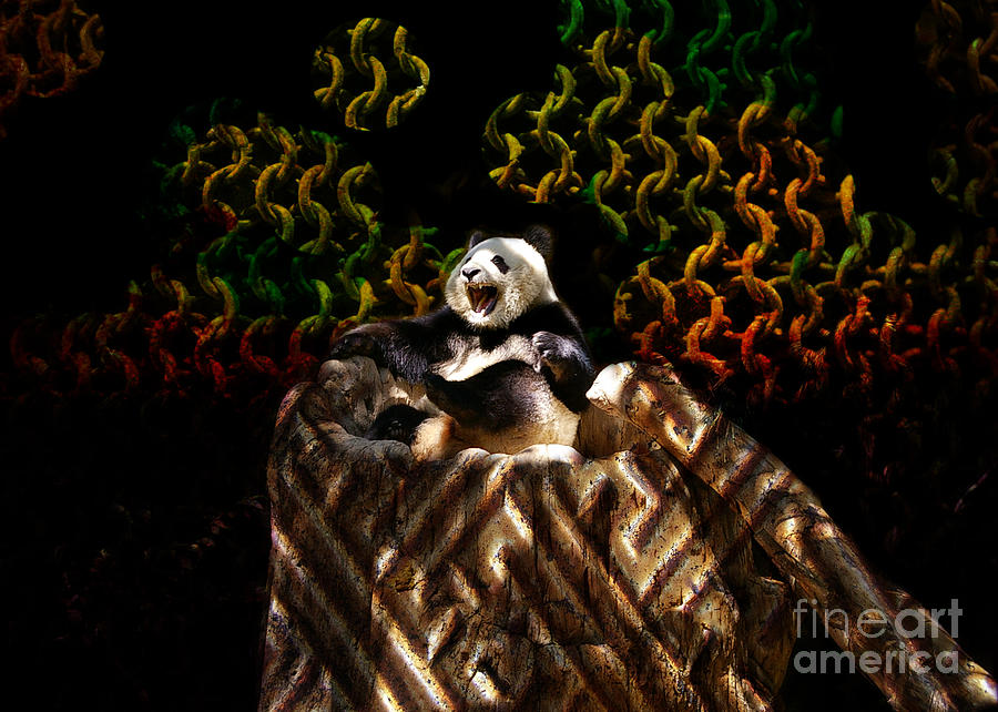 Yawning Panda  Photograph by Mariola Bitner