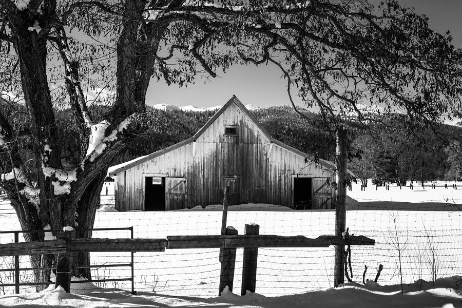 Ye Old Barn Photograph by Randy Wood