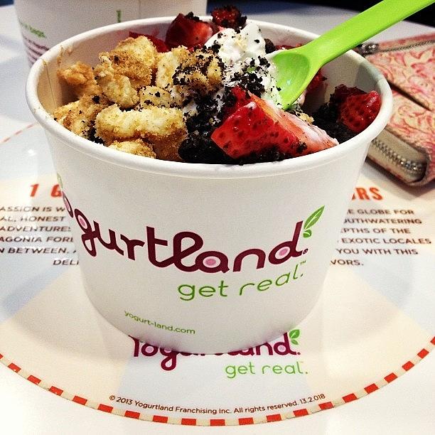 Dinner Photograph - Yeah Guys, Get Real #yogurtland by Jordan Weaver