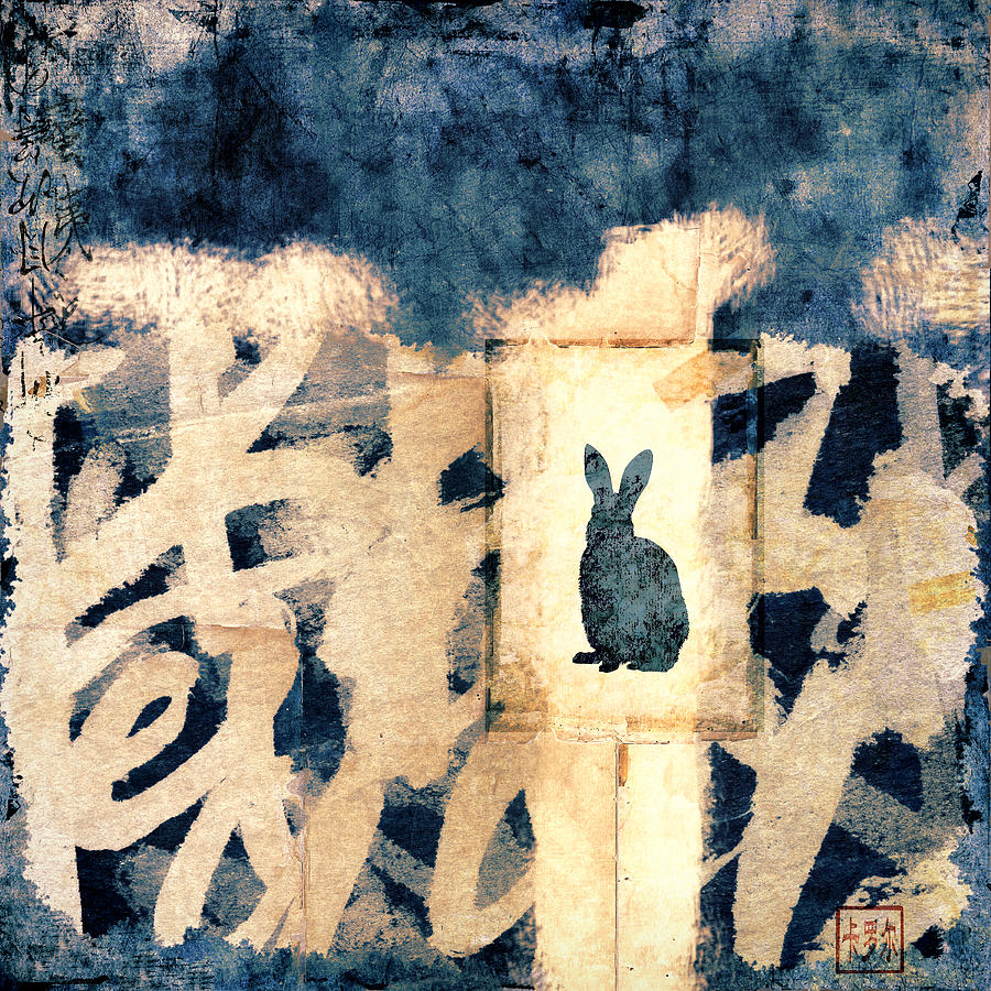 Rabbit Photograph - Year of the Rabbit No. 3 by Carol Leigh