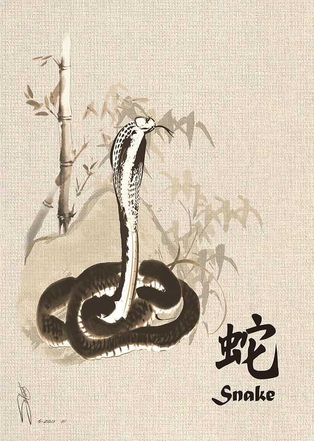 Year of the Snake Digital Art by M Spadecaller